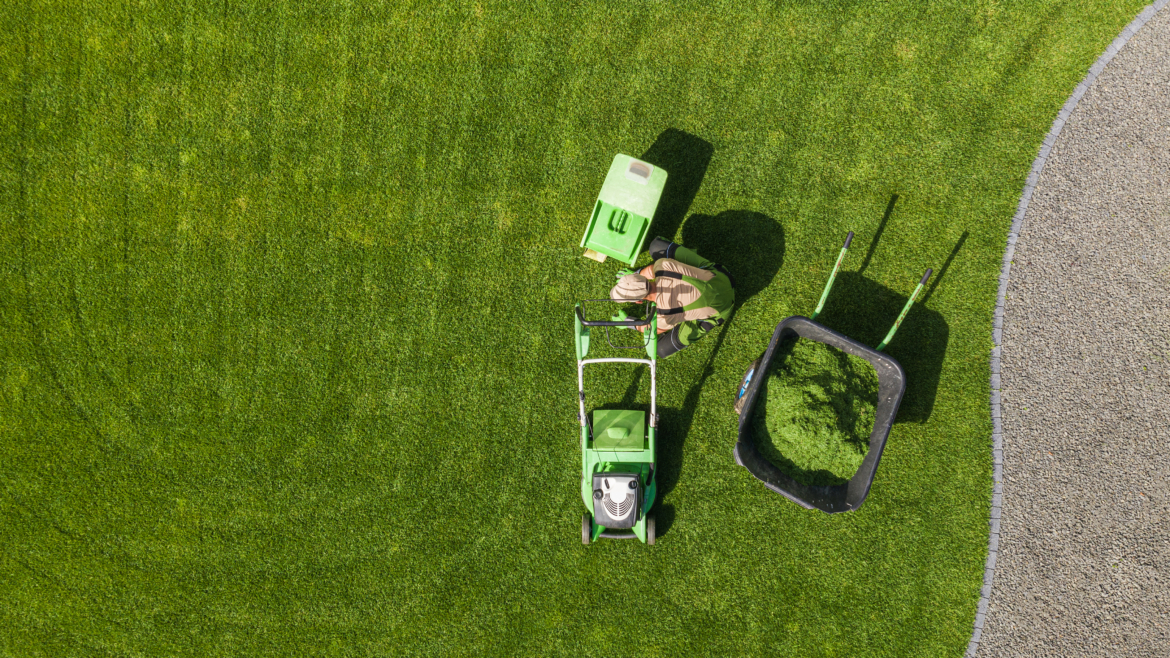 How to Keep Your Lawn Green