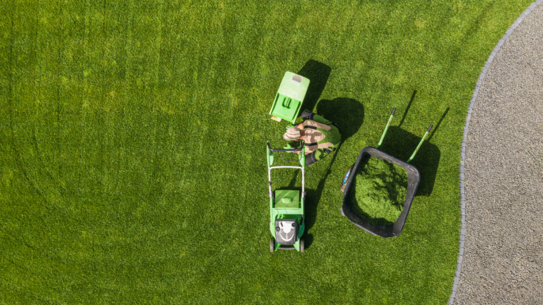 How to Keep Your Lawn Green