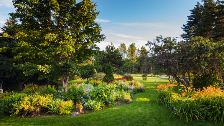 Landscape Design