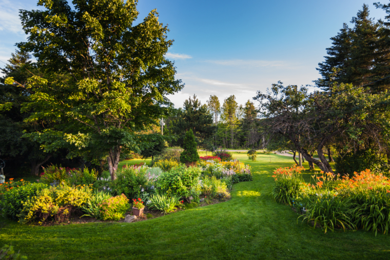 Landscaping