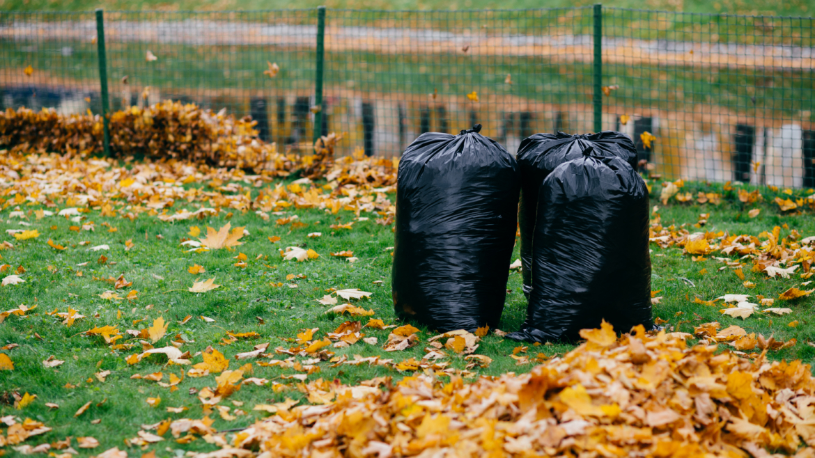 Seasonal Clean-Ups