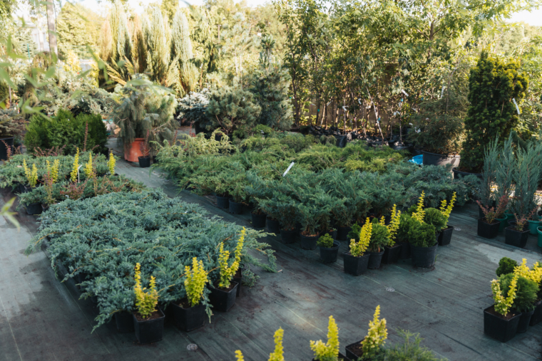 Landscaping