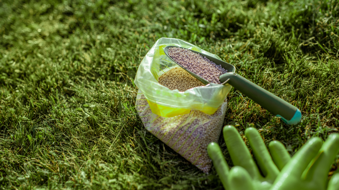 Sod & Seeding