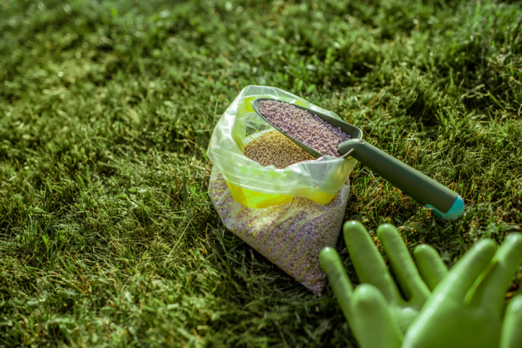 Landscaping