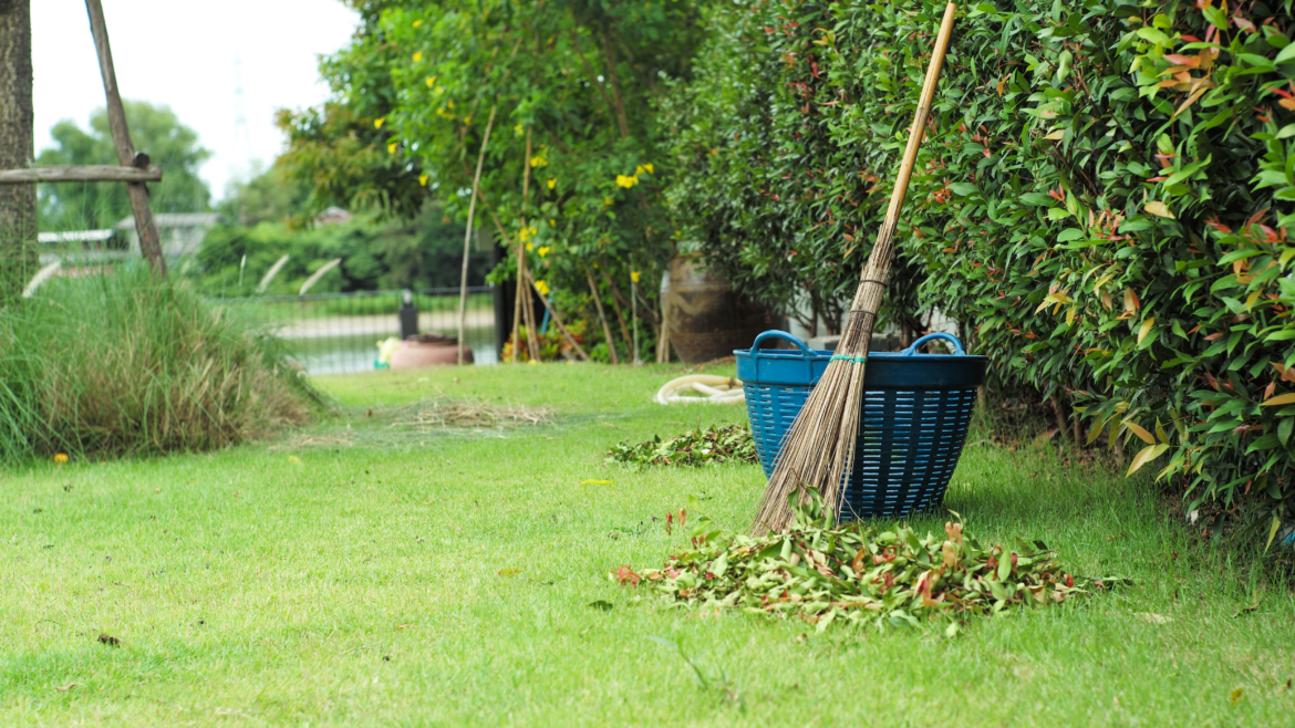 Why Seasonal Clean-Ups Matter