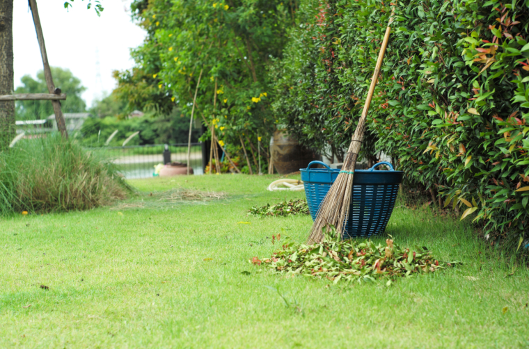 Landscaping