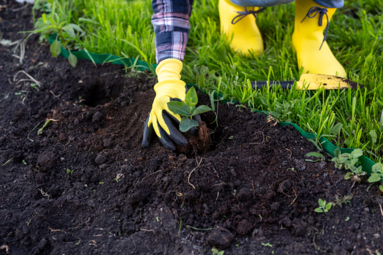 Landscaping