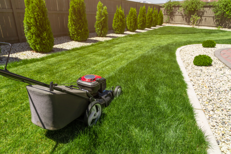 Landscaping