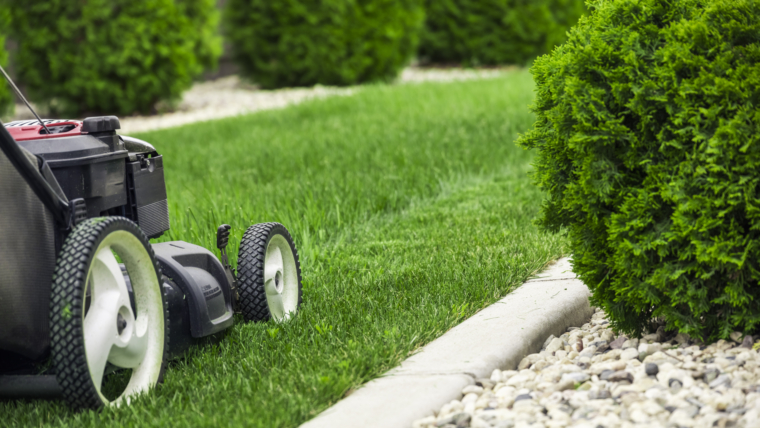 Landscaping