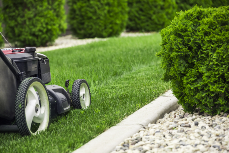 Landscaping