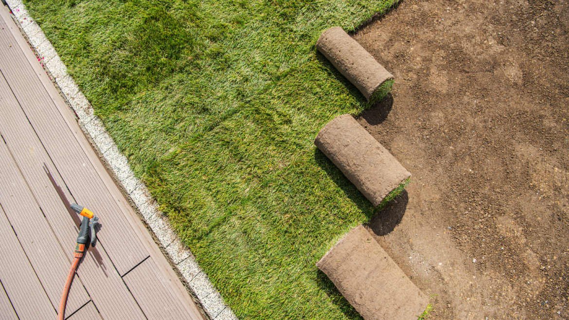 Lawn Installation