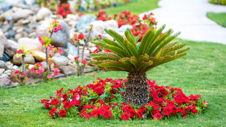 Landscaping
