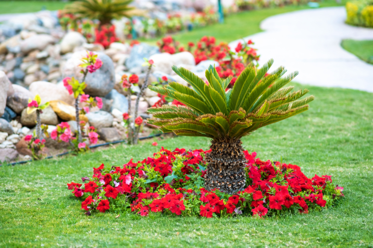 Landscaping